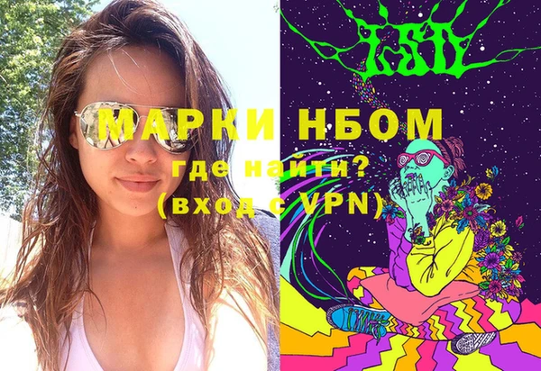 крисы Козловка