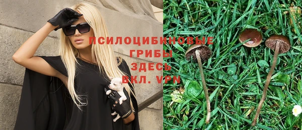 прущая мука Кодинск